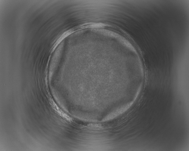 X0000085051194200703261129