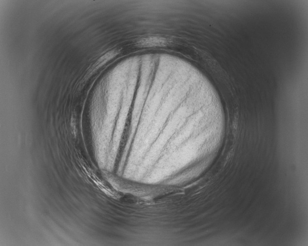 X0000085051209200703261128