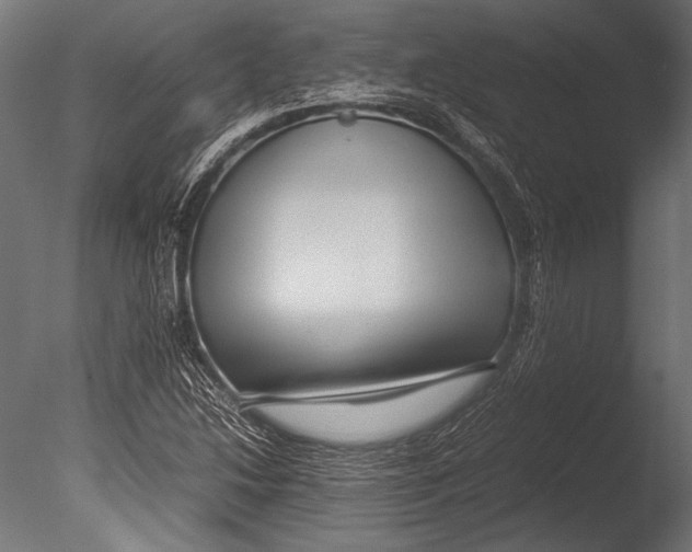 X0000085051214200703261128