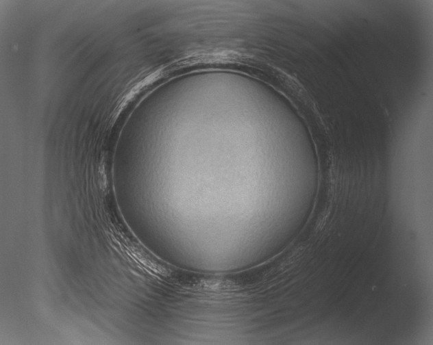 X0000085051218200703261128