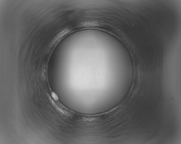 X0000085051225200703261129