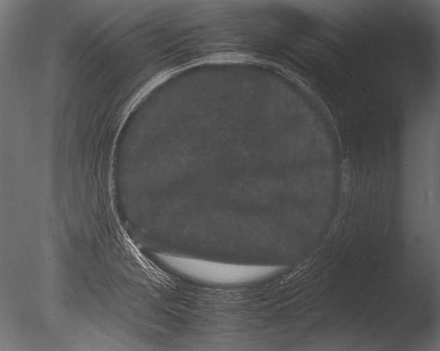 X0000085051229200703261129