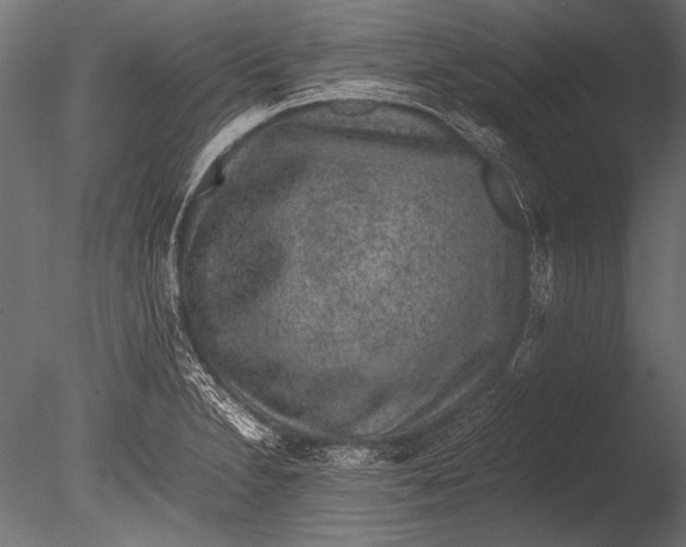 X0000085051230200703261129