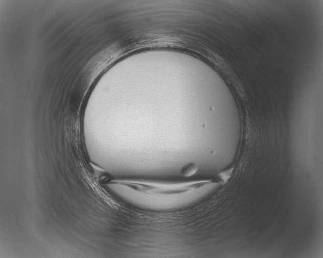 X0000085051234200703261129