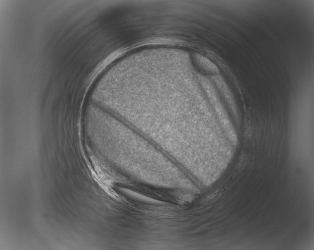 X0000085051237200703261129