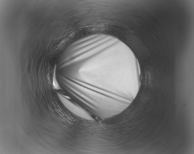 X0000085051250200703261128