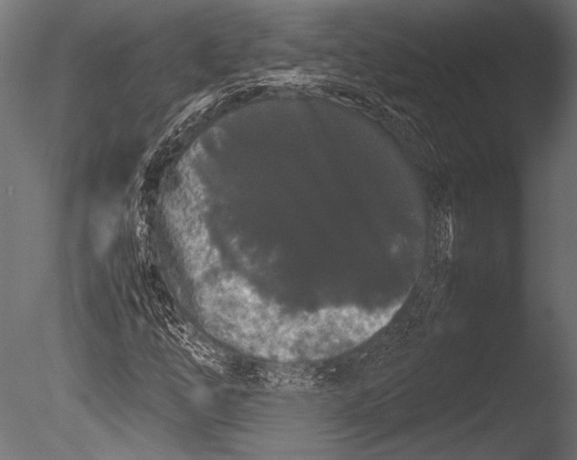 X0000085051254200703261128