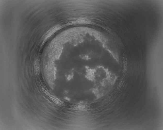 X0000085051266200703261128