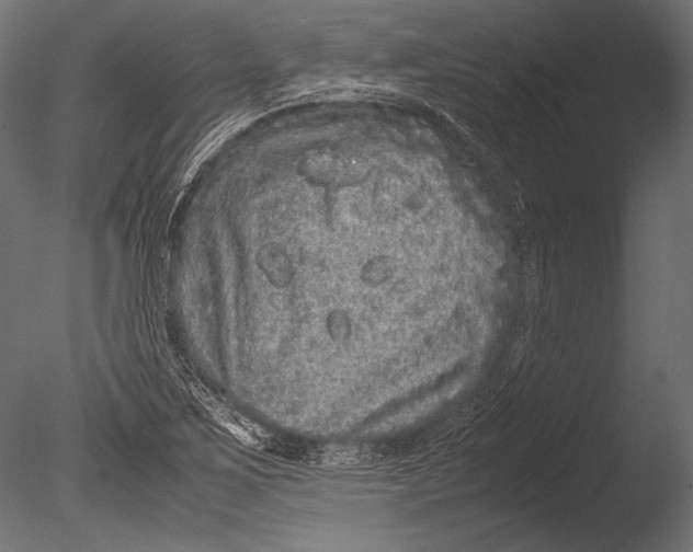 X0000085051267200703261128