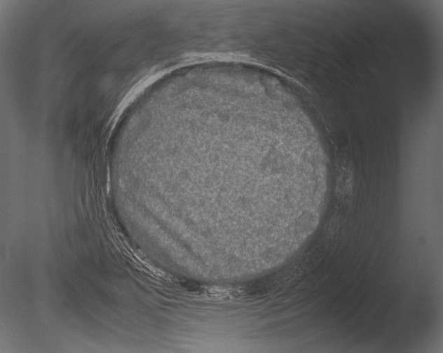 X0000085051271200703261128
