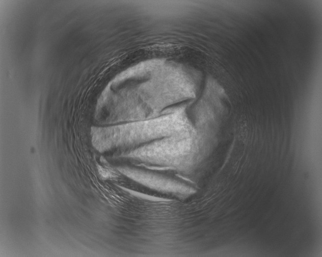 X0000085051297200703261126