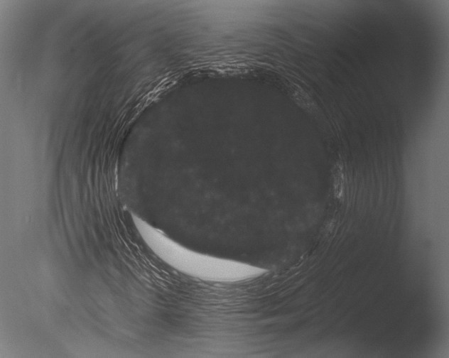 X0000085051298200703261126
