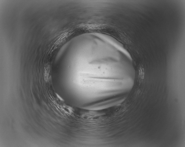X0000085051300200703261126