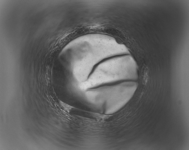 X0000085051301200703261127