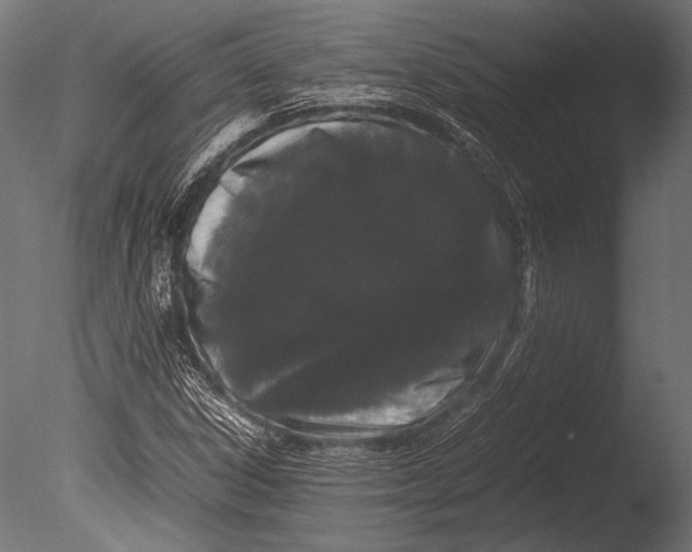 X0000085051306200703261127