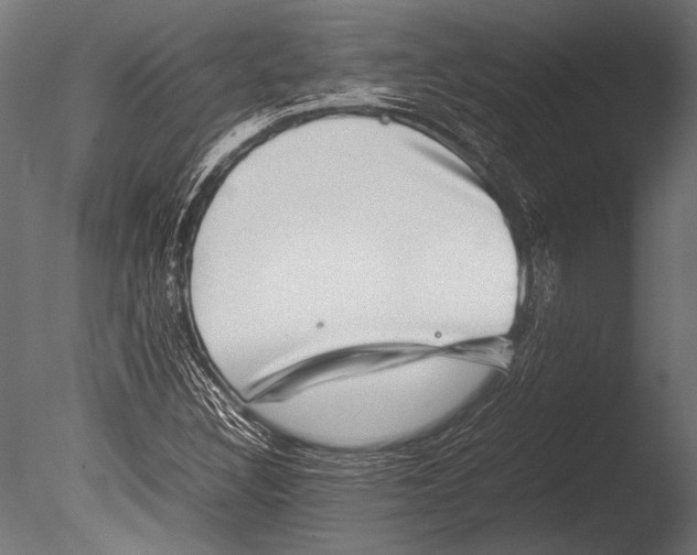 X0000085051308200703261127