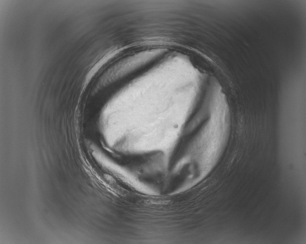 X0000085051325200703261127