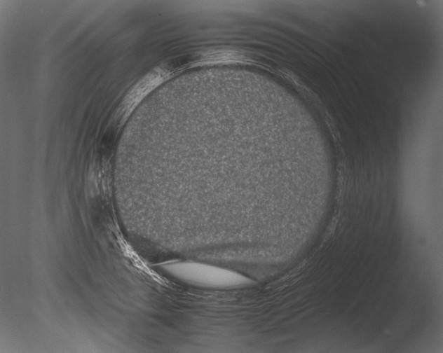 X0000085051329200703261127