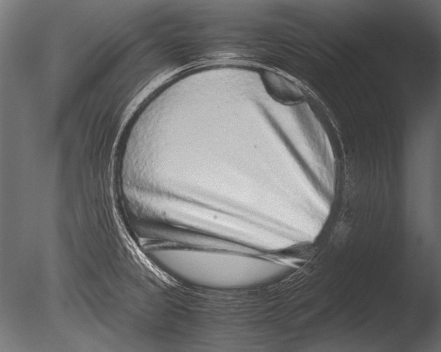 X0000085051333200703261127