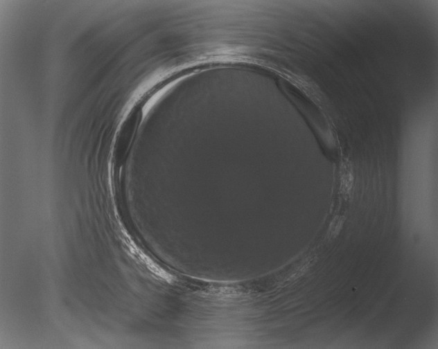 X0000085051334200703261127