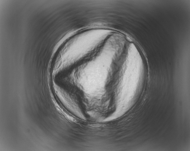 X0000085051341200703261127