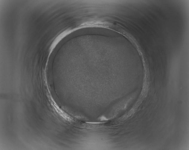 X0000085051344200703261127