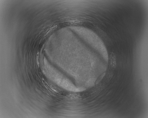 X0000085051346200703261126