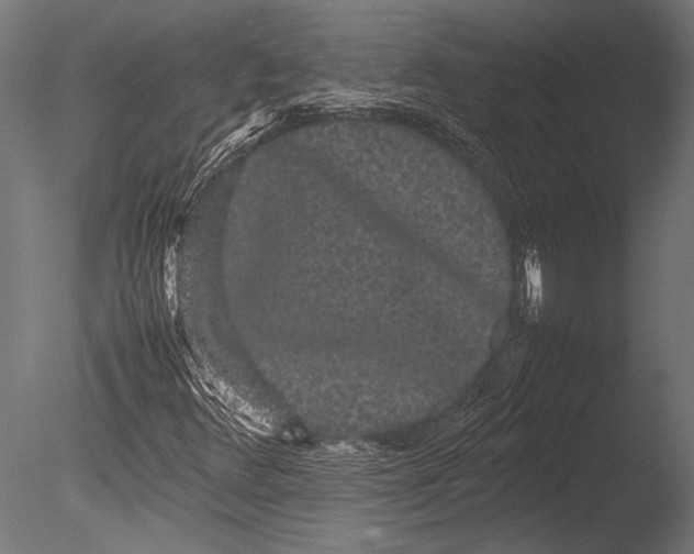 X0000085051348200703261126