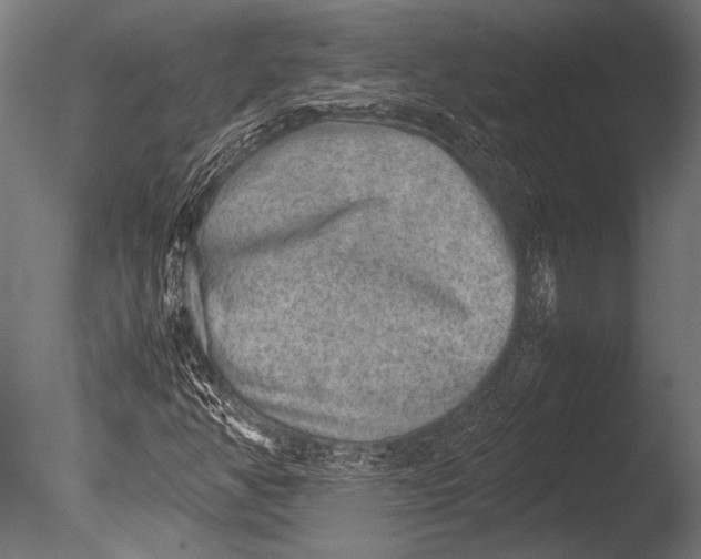 X0000085051350200703261126