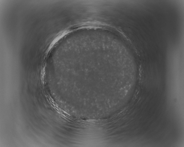 X0000085051352200703261126
