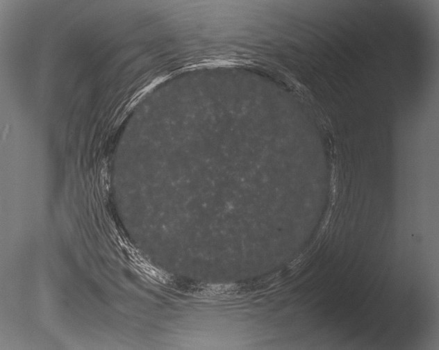 X0000085051353200703261126