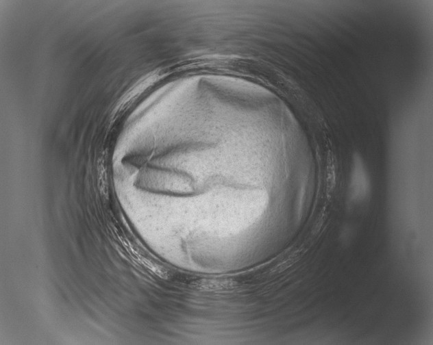 X0000085051354200703261126