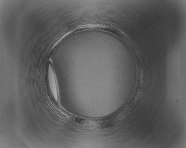 X0000085051361200703261126