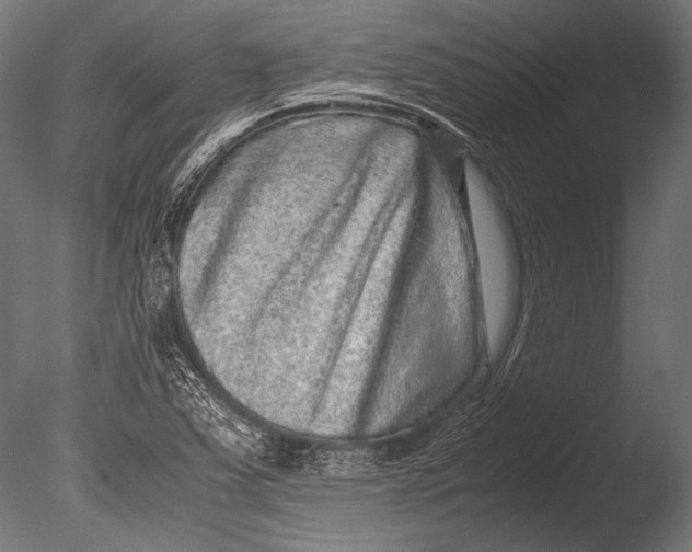 X0000085051363200703261126