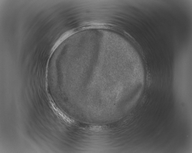 X0000085051378200703261126