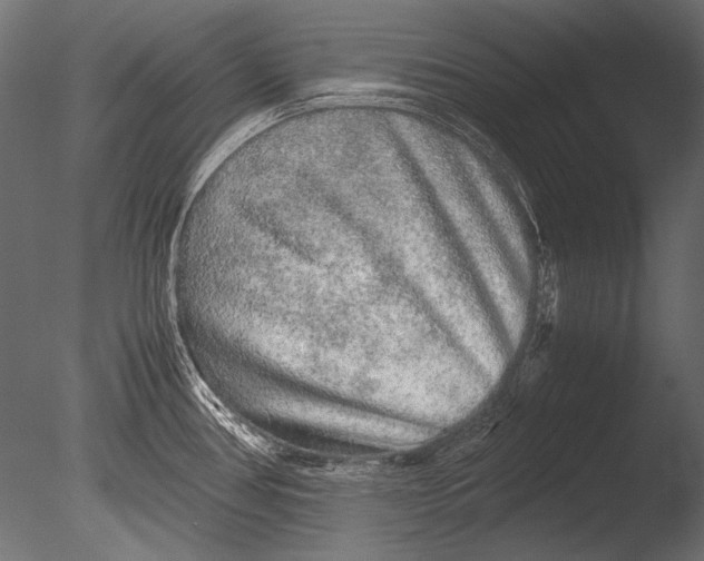 X0000085051386200703261126