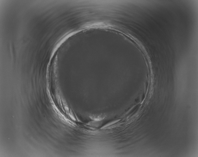 X0000085051392200703261126