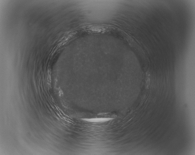 X0000085051394200703261125