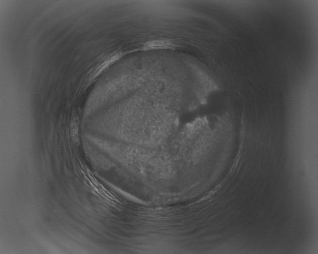 X0000085051401200703261125