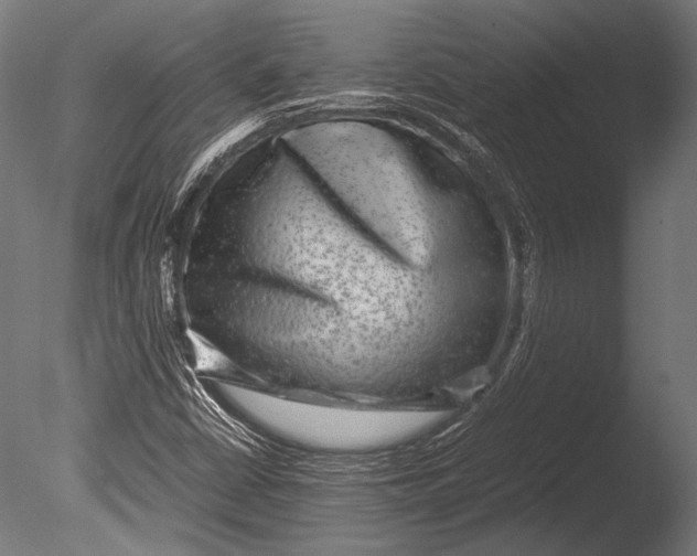 X0000085051402200703261125