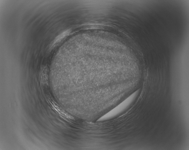 X0000085051403200703261125