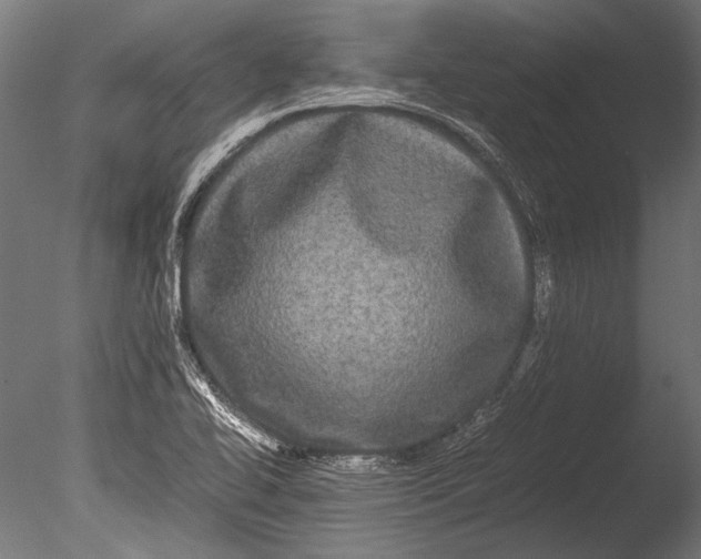 X0000085051414200703261125