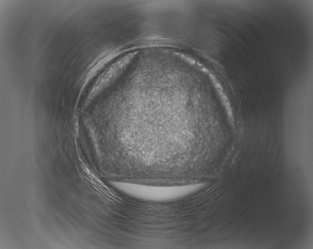 X0000085051415200703261125