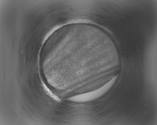 X0000085051422200703261125