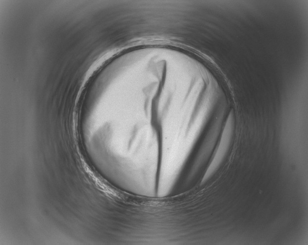 X0000085051424200703261125