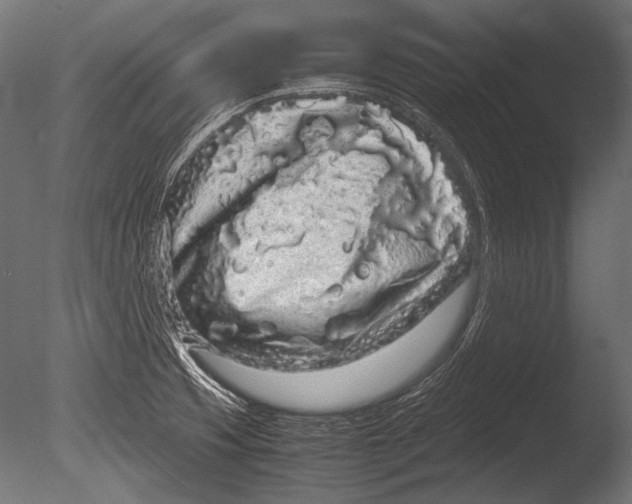 X0000085051425200703261125