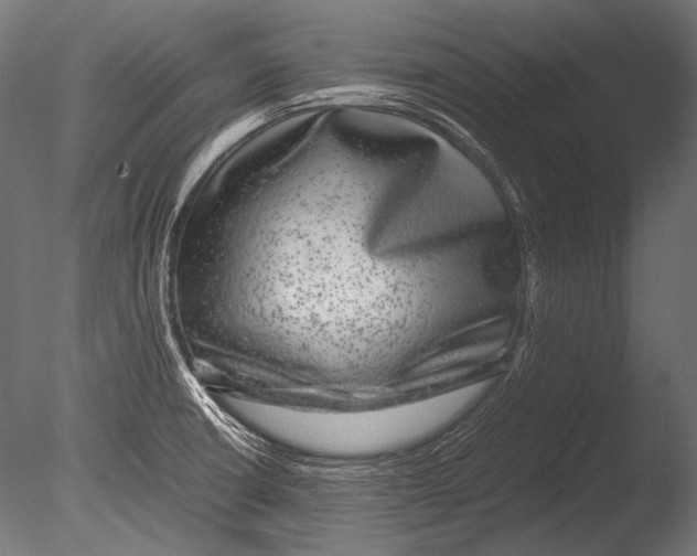 X0000085051426200703261125