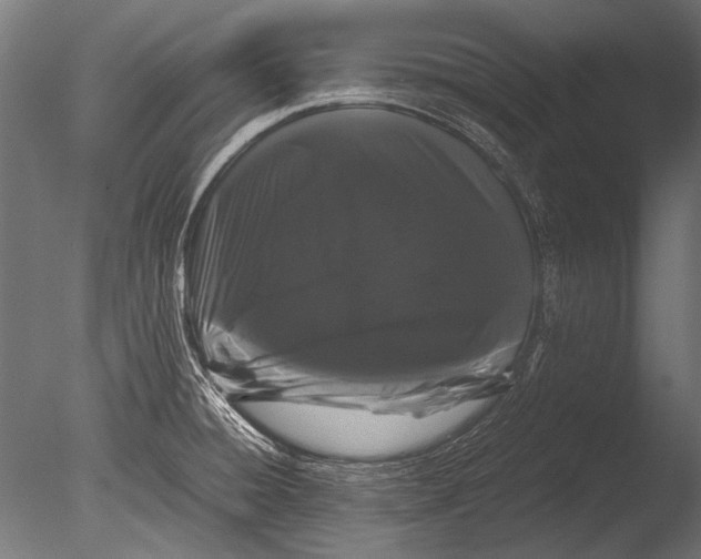 X0000085051428200703261125