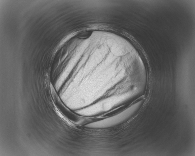 X0000085051433200703261125