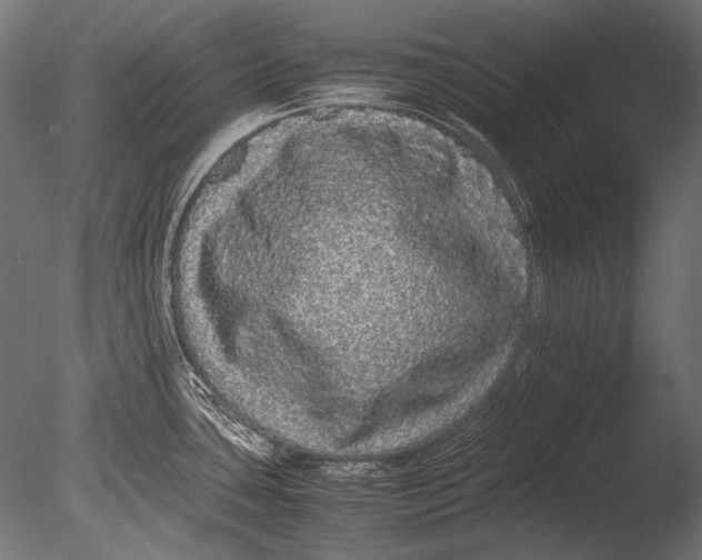 X0000085051435200703261125